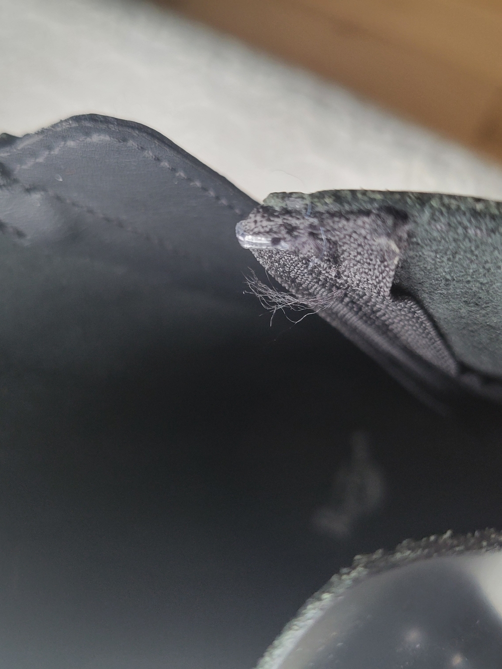 Black Dr. Martens Platform Boots - Picture 6 of 8